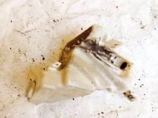 8d0955453r Wischwasserbehälter behälter  Audi A4 DE2691329-97