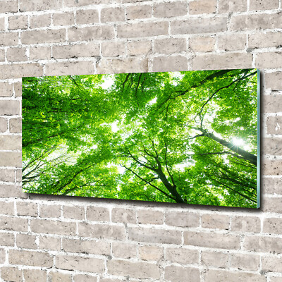 Acrylglas-Bild Wandbilder Druck 140x70 Deko Blumen & Pflanzen Grüner Wald