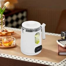 6 Functions Temperature Control Electric Tea Kettle With Tea Steamer Mesh White