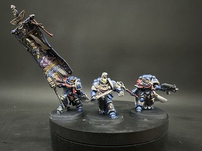Warhammer 40k Pro Painted Victrix Honour Guard Space Marines sofort lieferbar