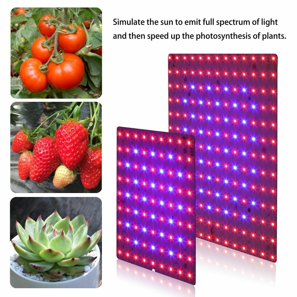 Veg Lamp For Indoor Hydroponic Plant