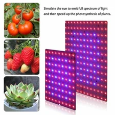 81/169LED Full Spectrum Plant UV Grow Light Veg Lamp For Indoor Hydroponic Plant