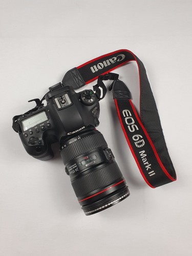 Canon EOS 6D Mark II + Canon EF 24-105mm f/4L IS II USM - Foto 2 di 6