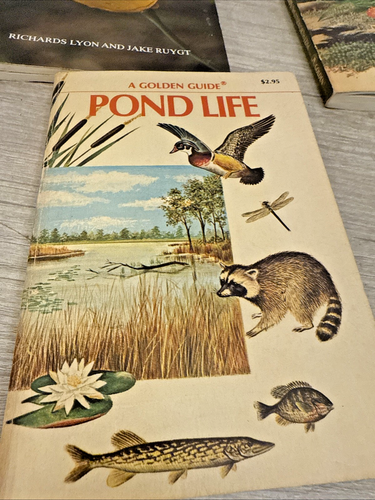 7 books   Wildflowers by Richards Lyon and Jake Ruyet (1996) - Picture 5 of 5