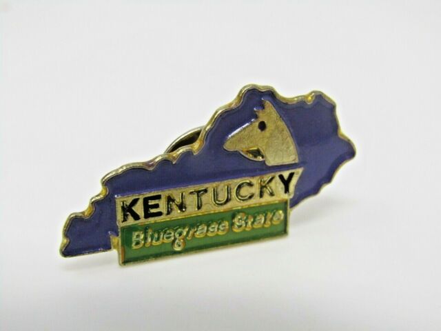 Kentucky Bluegrass State Pin Vintage Collectible
