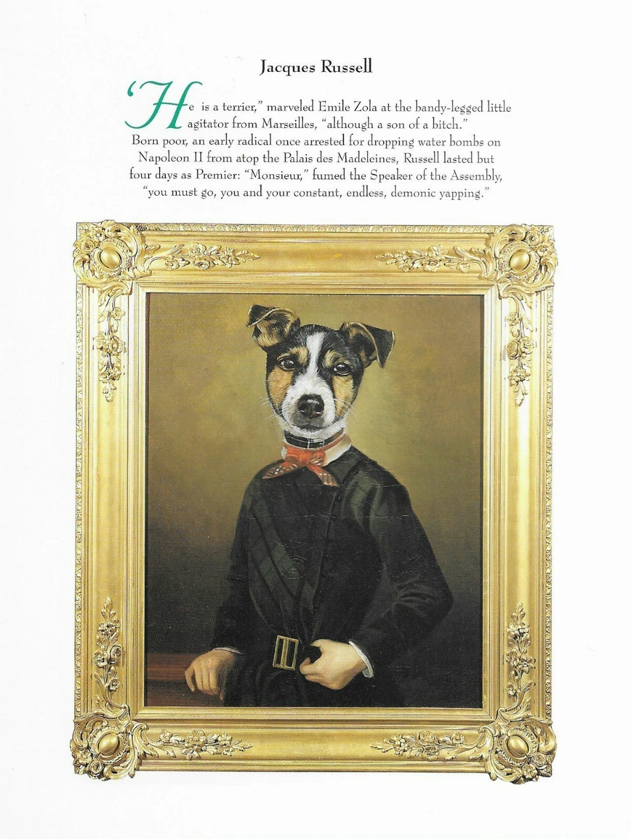 Jack russell cheap items