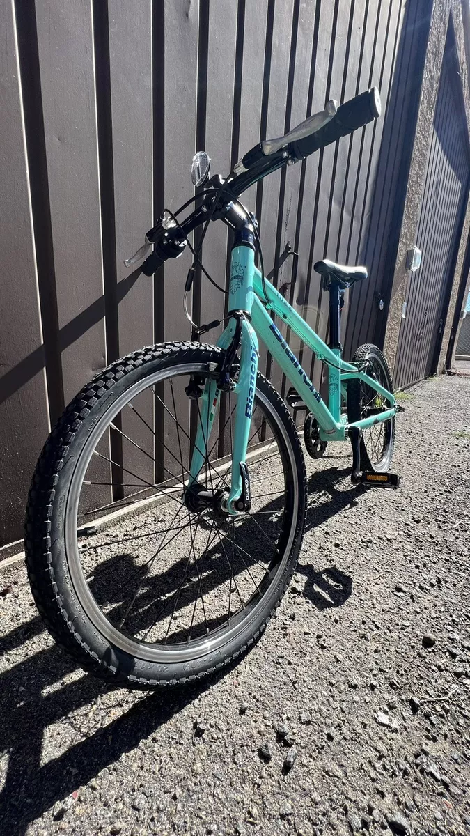 Bianchi 16 hotsell inch