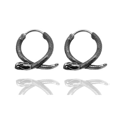 Snake Earrings Stainless Steel Snake Dangle Earrings Personalized Punk Hypoaller