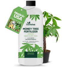 16oz Money Tree Plant Indoor Fertilizer - Makes 96 Gallons of Money Tree Fert...
