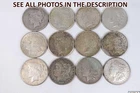 NobleSpirit Lot of 12x SILVER DOLLARS As Found