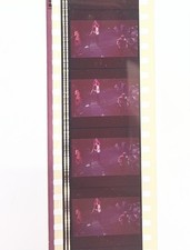 THE GREATFUL DEAD MOVIE. 1977. 35mm. Film Cell Strip