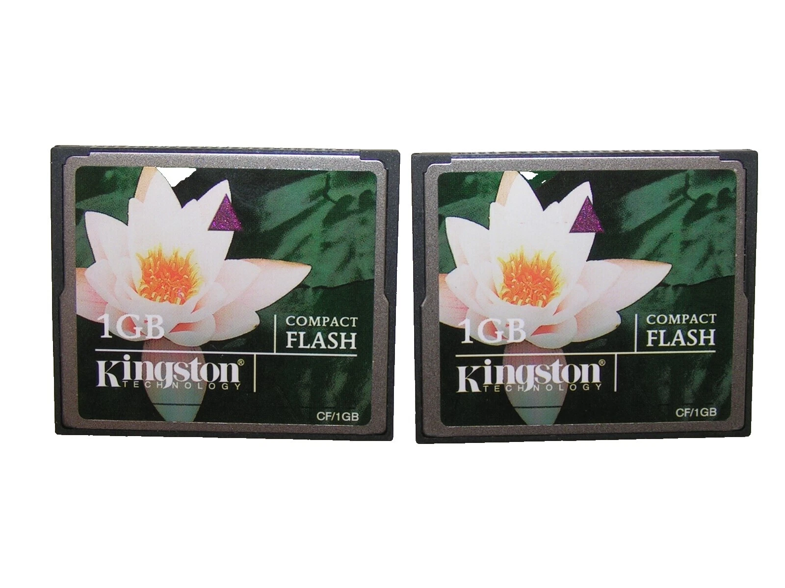 Tarjetas de memoria para cámara Kingston para Nikon