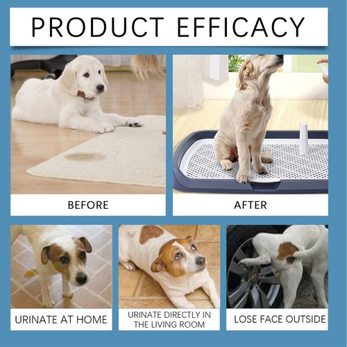 Pee Spray for Dogs Training Dog Pee Spray Potty Training Spray Toilet innate - Picture 7 of 12