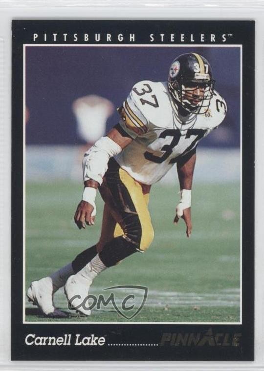 1993 Pinnacle Carnell Lake #107 0a0