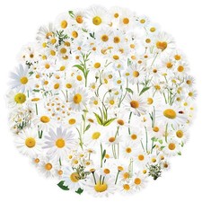 50 Pieces Natural Flower Daisy Stickers for Scrapbooking, Bellis Perennis