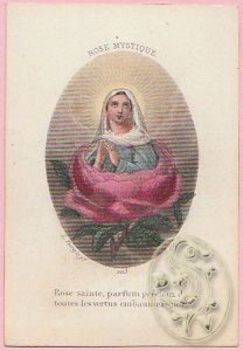 TURGIS, Rose Mystique. Rose sainte, parfum... 1860 - Afbeelding 1 van 1