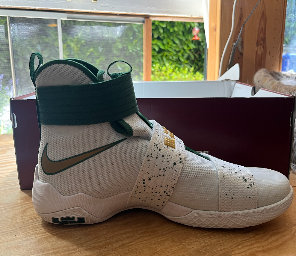 Nike LeBron Soldier 10 | SVSM PE *PROMO SAMPLE* | Size 10 | White