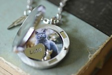 Cat Memorial Necklace, Locket Necklace with A Photo, Cat Fur Keepsake, Pet Loss
