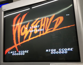 Wolfchild SEGA CD Game Disc Only JVC Action PLATFORMER - TESTED & WORKING