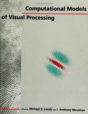 Computational Models of Visual Processing