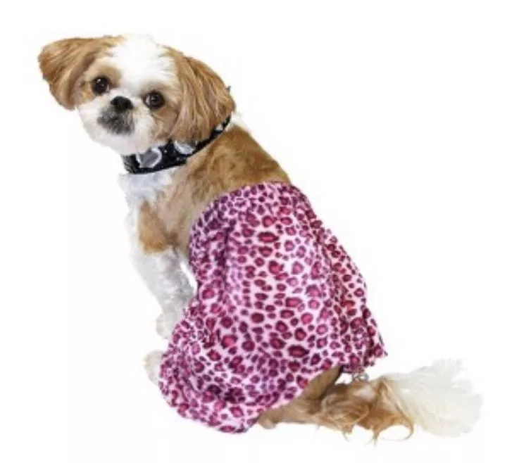 Punk dog best sale clothes