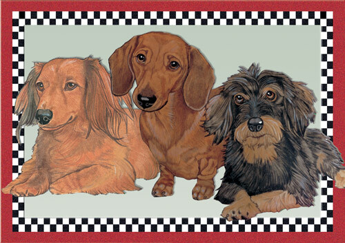 Dachshund Blank Note Cards Boxed - Picture 1 of 1