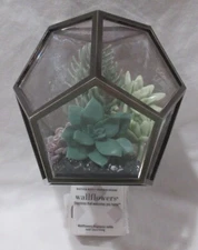 Bath & Body Works Wallflower Fragrance Plug SUCCULENT IN GLASS TERRARIUM