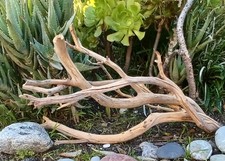 Set Of 2 Large Driftwood Manzanita Aquascape Aquarium Terariam