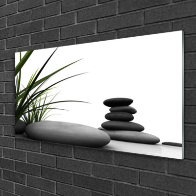 Wandbilder aus Plexiglas  100x50 Acrylglasbild Gras Steine Kunst
