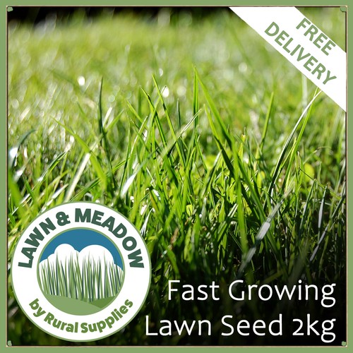 Fast Growing Lawn Grass Seed 2KG RAPID QUICK GROWTH NEW LAWNS OR PATCH