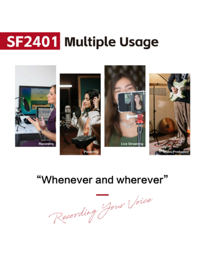 Simplefly SF2401 Digital Dual-Channel 24bit/192kHz AD/DA Converter w/ USB-C - Picture 9 of 10
