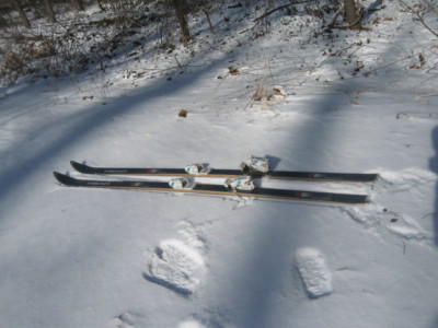 Head 195 Radial Carbon Trapezoid Skis Tyrolia 480 Bindings