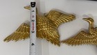 Foto 10 di 15