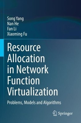 Resource Allocation in Network Function Virtualization - 9789811948176