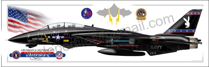 F-14 D “TOMCAT” VX-9 VAMPIRES - “ Vandy One” - Airplane Profile | eBay