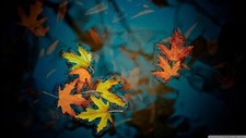 Landscape leaves water fall nature plants closeup Custom Gaming Mat Desk