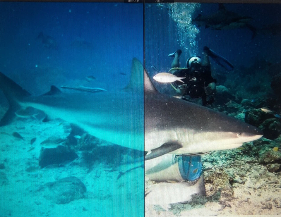 GoPro Hero3+Hero4 Standard Housing Blue Water Color HD Camera HD Red Filter - Image 2 of 2