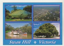 SWAN HILL VICTORIA 4 SCENES INCL GIANT COD NUCOLORVUE POSTCARD