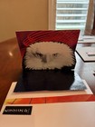 America 4th of July Independence Day Blank Pop-Up Card with Winning Envelope — photo 9
