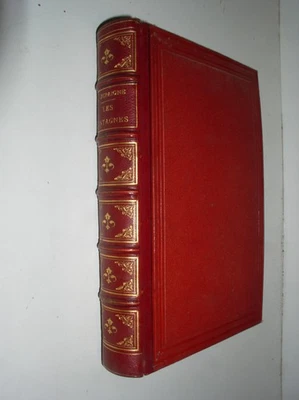 ALBERT DUPAIGNE - LES MONTAGNES [LIVRE RELIE - 1877] - Photo 1/4