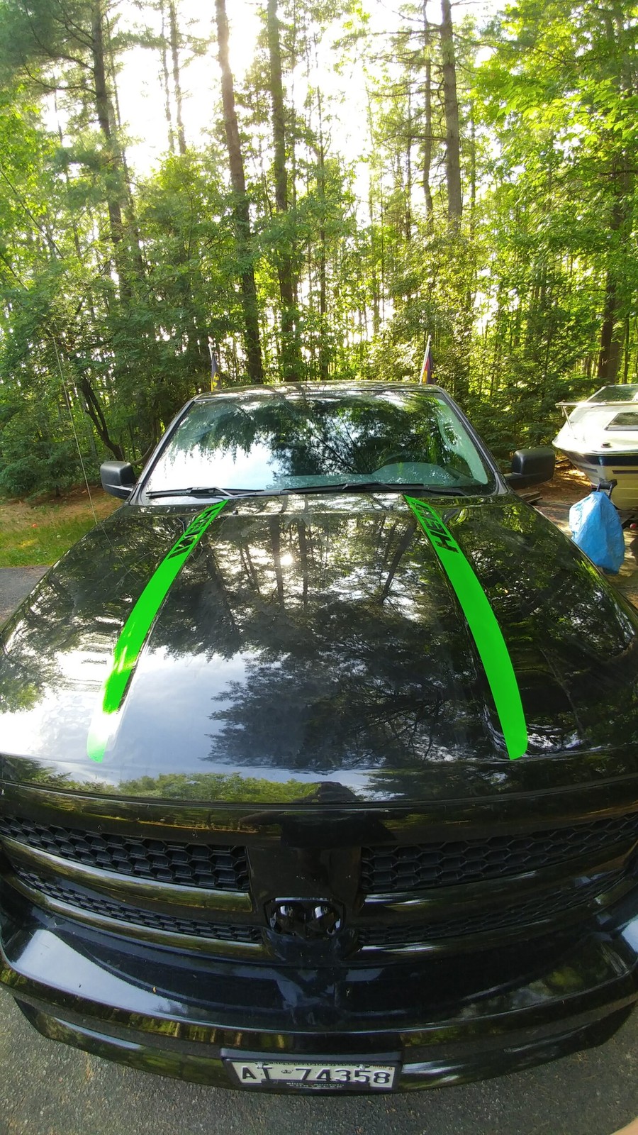 Picture 3 of 5