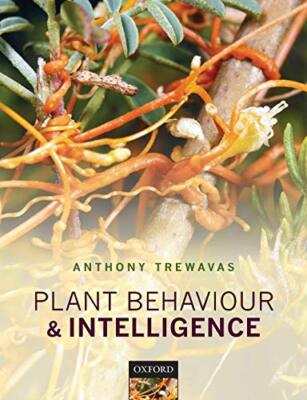 Plant Behaviour and Intelligence by Anthony Trewavas (Paperback, 2015)
