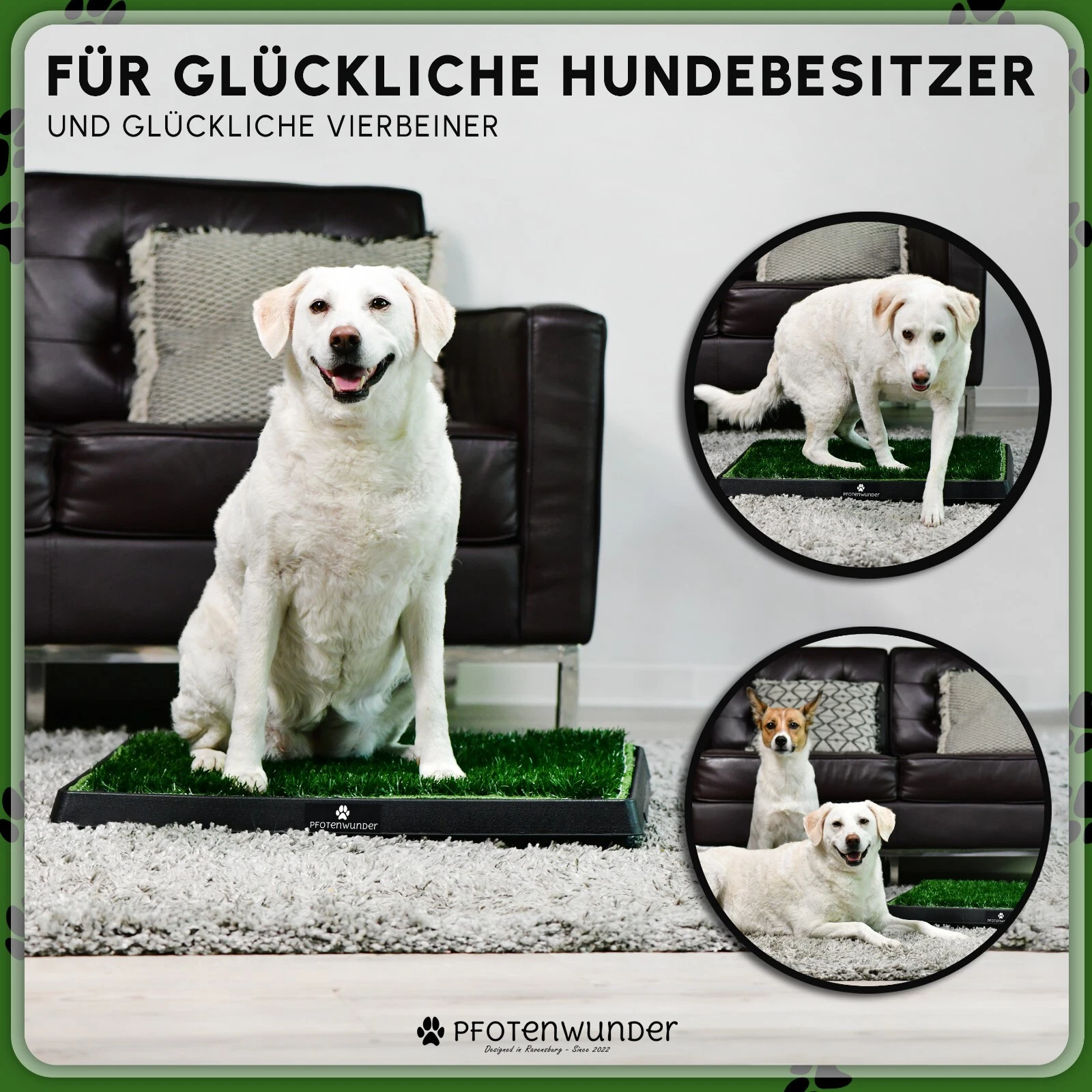 Bild 10 von 12