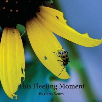 This Fleeting Moment by Caris Kenny