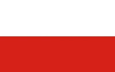 Miniflag Polen 10 x 15 cm Fahne Flagge Miniflagge
