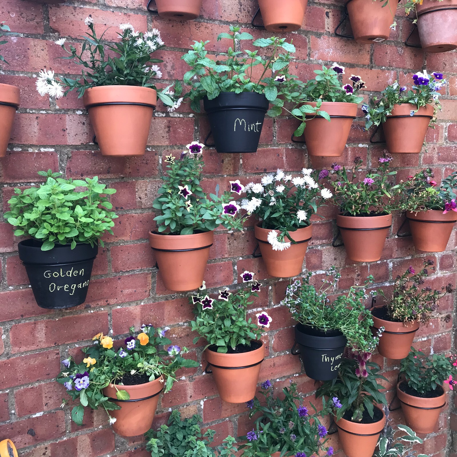 6 PotUps Plant Hangers,holders,rings Hang 5"pots on walls,fences