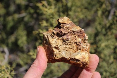 MINERAL GOLD ORE From Historic & Rare Site   -  PACIFIC MINE - W.R. Hearst  #33
