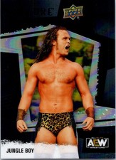 2022 Upper Deck Allure AEW Black Rainbow JUNGLE BOY