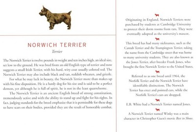 Norwich Terrier - CUSTOM MATTED Dog Art Print - Breed Description and History