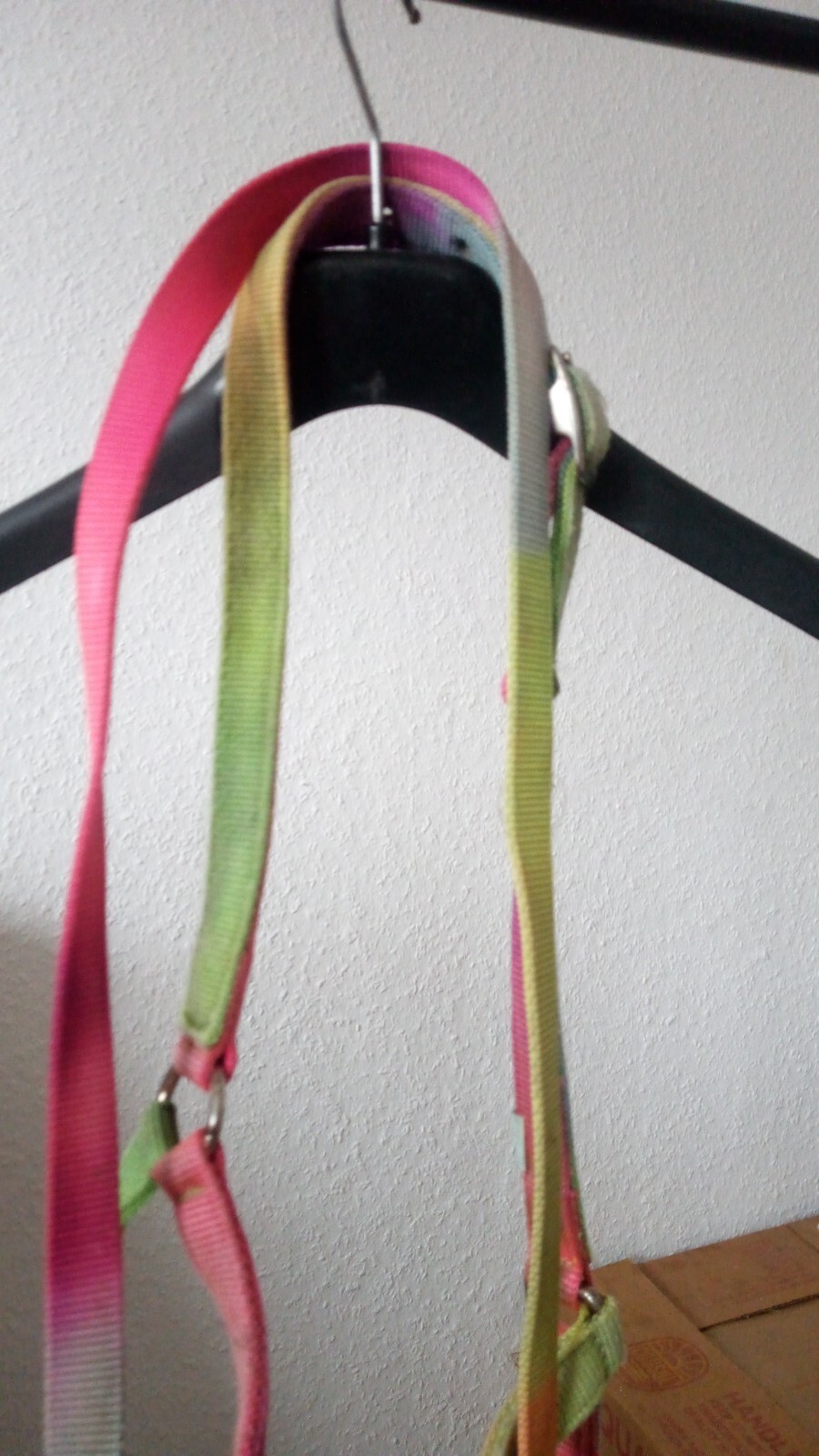 Bild 3 von 3